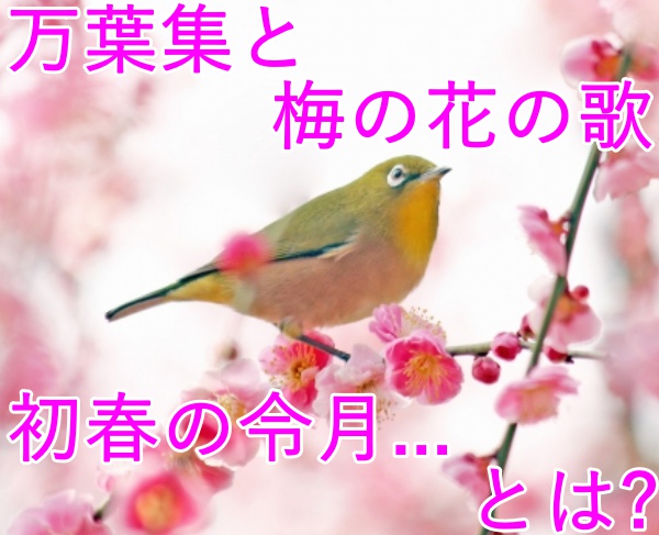 万葉集と梅の花の歌｢初春の令月...｣ はどんなもの？意味や内容は？