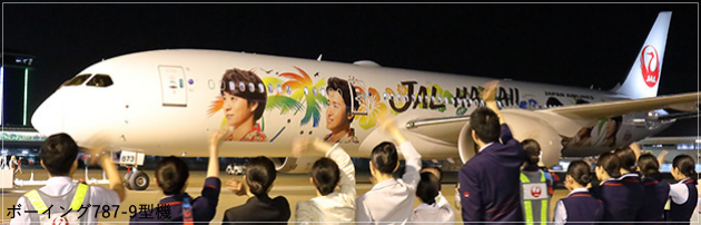 JAL嵐ハワイジェット2019！機体の塗装とフライトスケジュール！