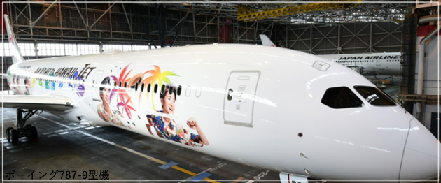 JAL嵐ハワイジェット2019！機体の塗装とフライトスケジュール！